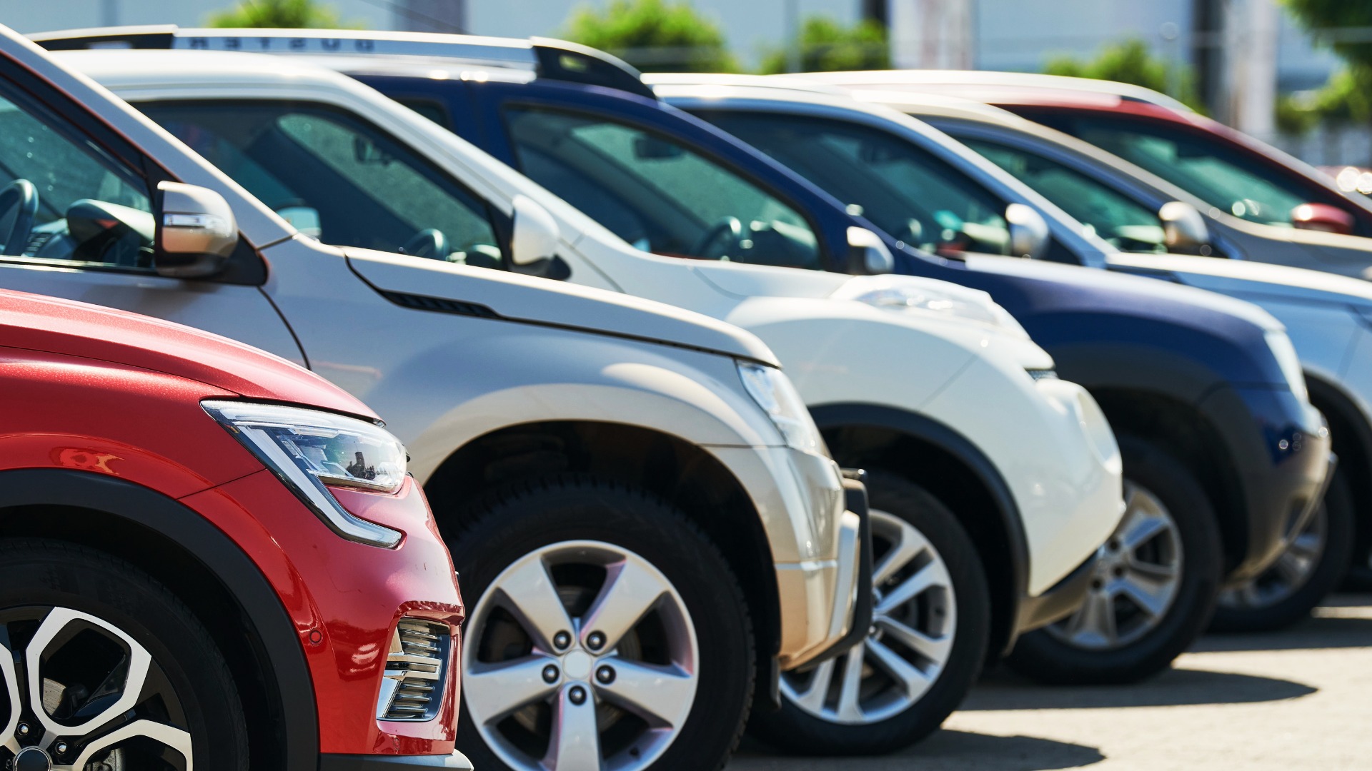 A row of cars lined up at a dealership